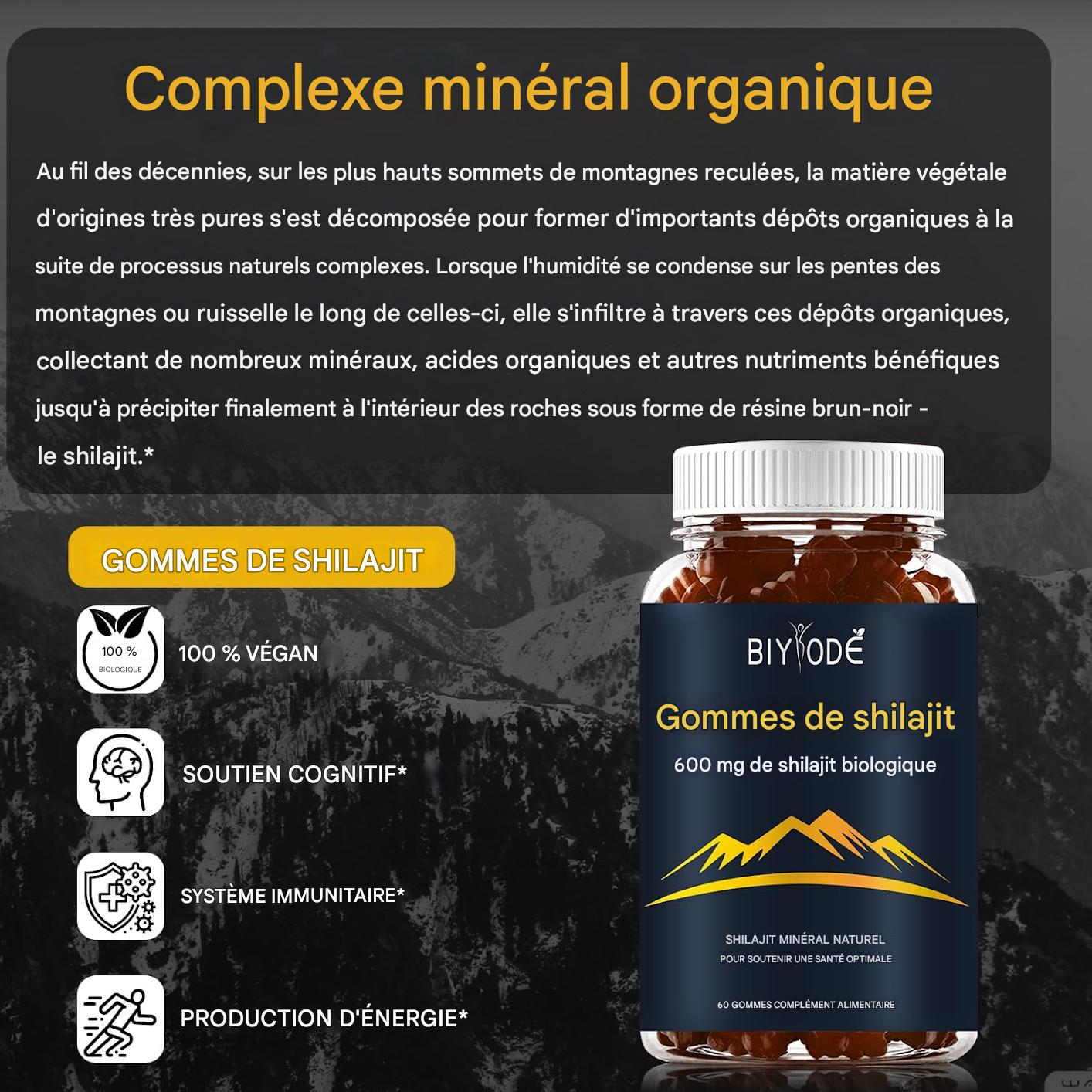 WinaBio – Bonbons Shilajit de l’Himalaya (600 mg) – Énergie naturelle et soutien du bien-être (60 bonbons)