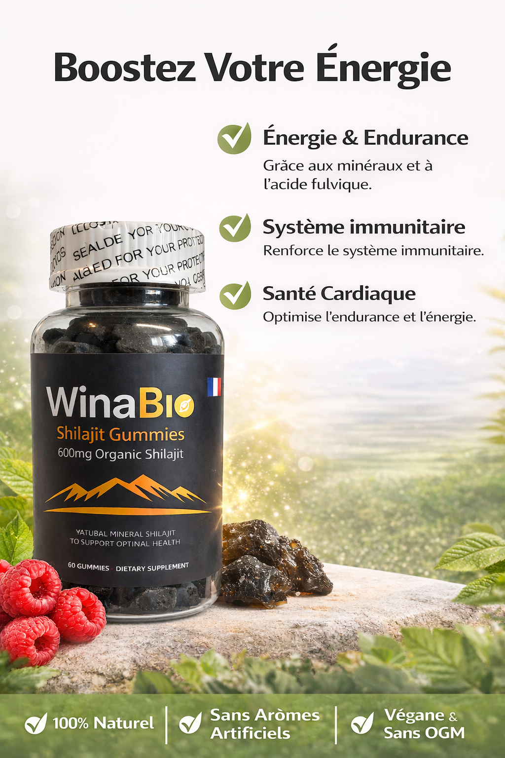 WinaBio – Gummies Shilajit de l’Himalaya (60 bonbons, 600 mg)