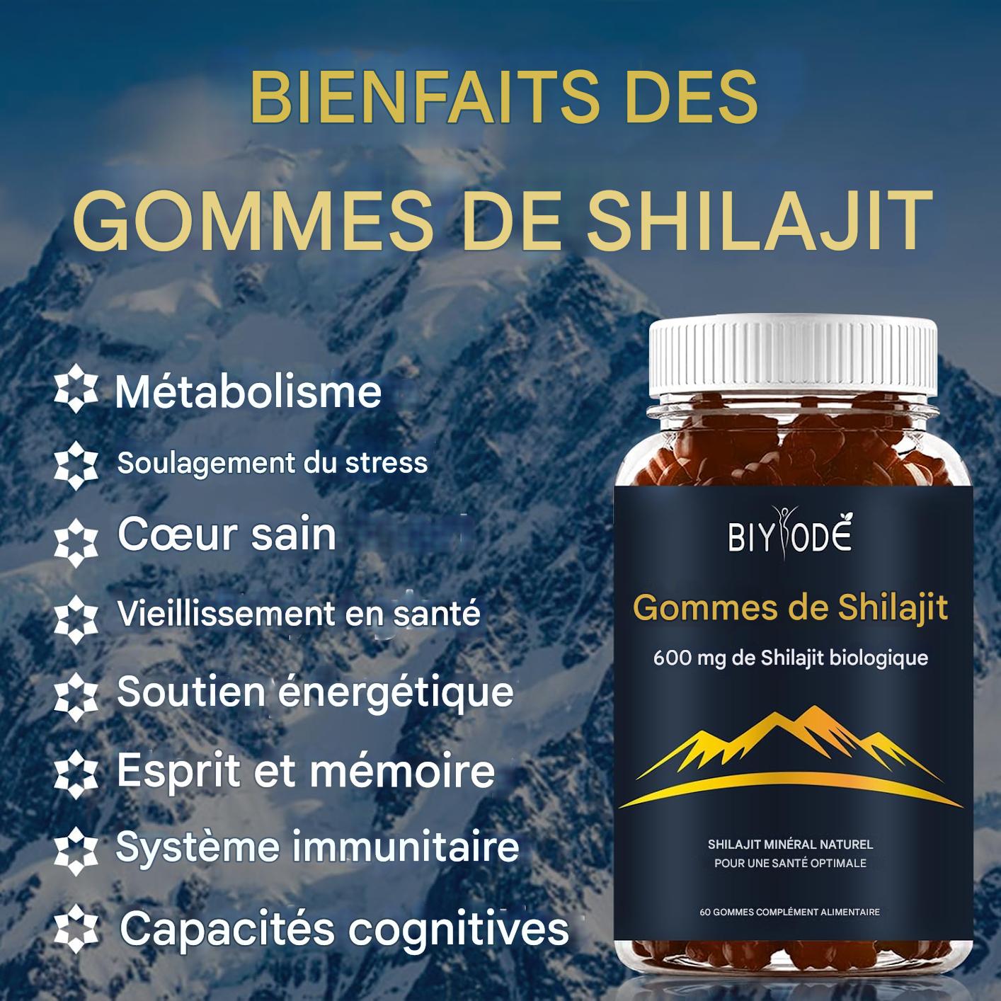 WinaBio – Bonbons Shilajit de l’Himalaya (600 mg) – Énergie naturelle et soutien du bien-être (60 bonbons)