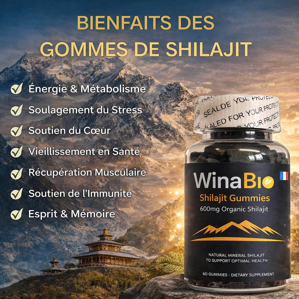 WinaBio – Gummies Shilajit de l’Himalaya (60 bonbons, 600 mg)