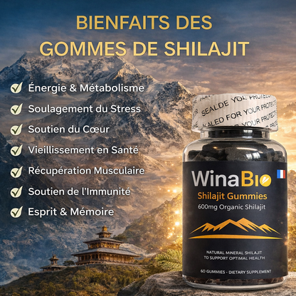 WinaBio – Gummies Shilajit de l’Himalaya (60 bonbons, 600 mg)